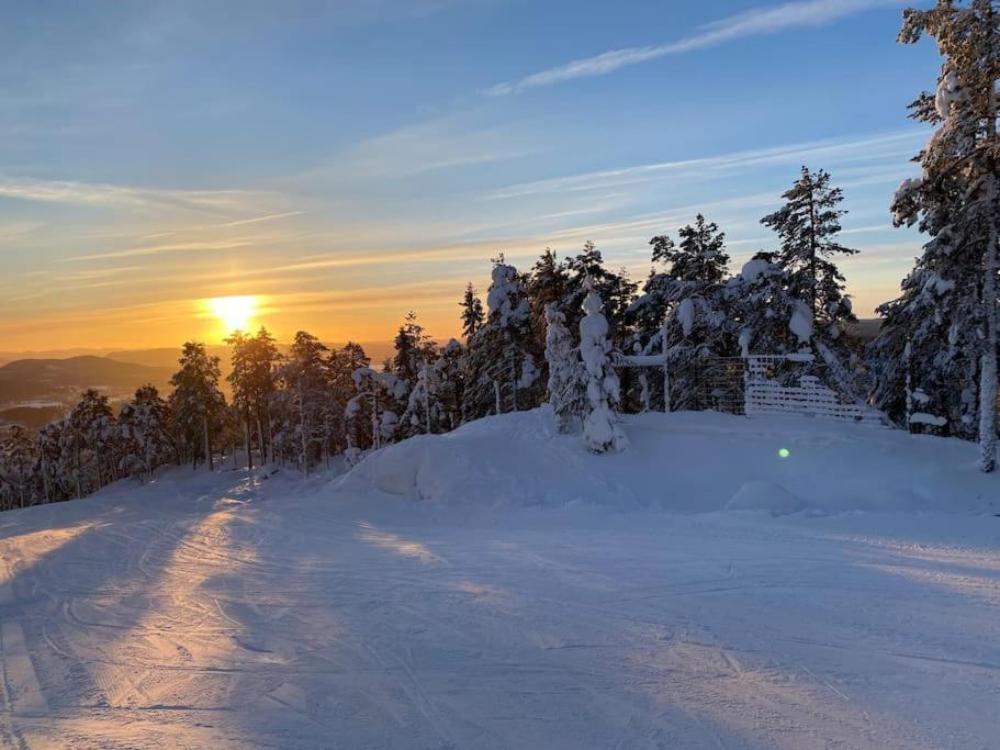 Modern Stuga Med Ski Lodge Kaensla Järvsö Buitenkant foto